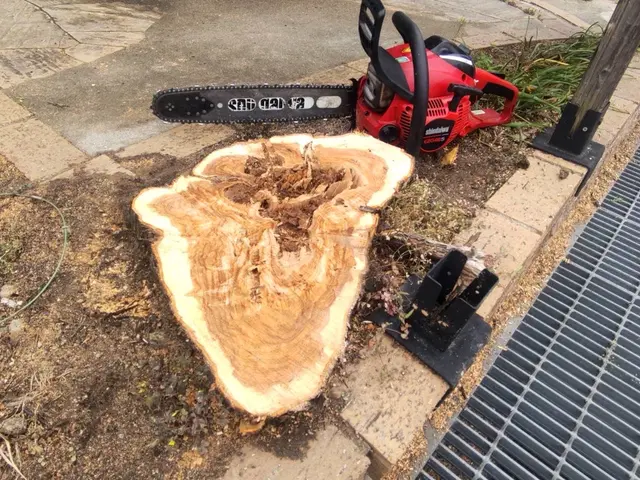 【店長訪問】どんな場所でも基本作業可◎〜まずは予約前にご相談ください！〜サービスの画像