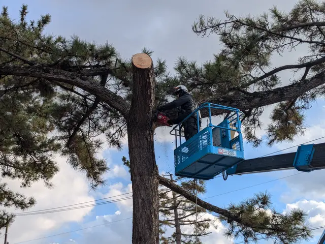 【店長訪問】どんな場所でも基本作業可◎〜まずは予約前にご相談ください！〜サービスの画像
