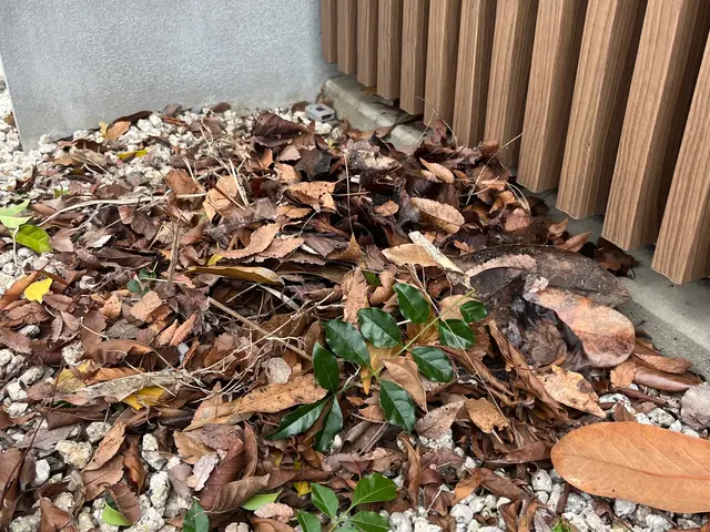 外注一切無★損害保険加入済★駐車場代店負担サービスの画像