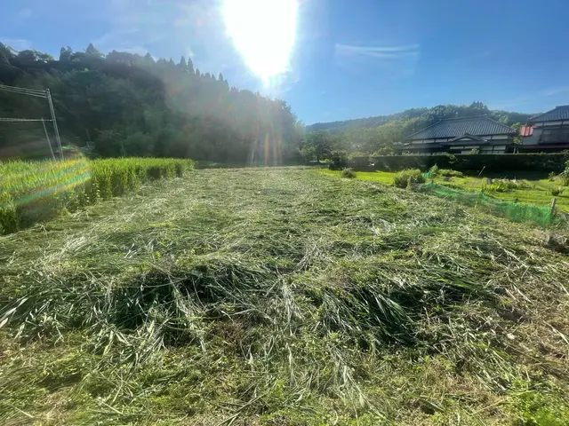 草刈り歴20年。小学生から草刈機使ってます。是非お任せください。サービスの画像