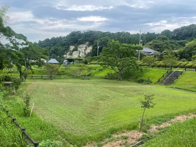 草刈り歴20年。小学生から草刈機使ってます。是非お任せください。サービスの画像