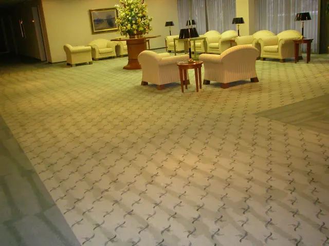 カーペット酵素洗浄サービスの画像