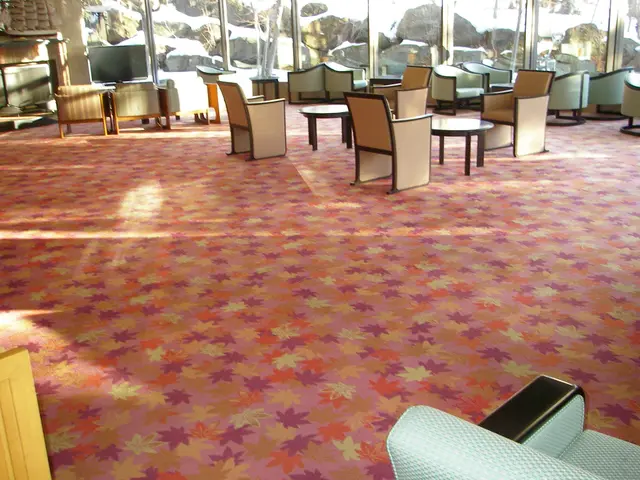 カーペット酵素洗浄サービスの画像