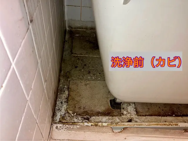 フタ、イス、オケ洗浄無料！　鏡ダイヤモンドパッド洗浄！！　店長がご訪問 ^_−☆サービスの画像