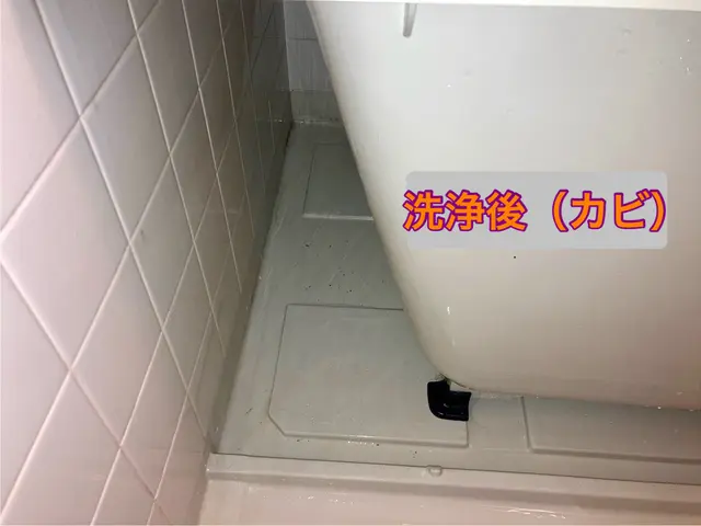 フタ、イス、オケ洗浄無料！　鏡ダイヤモンドパッド洗浄！！　店長がご訪問 ^_−☆サービスの画像