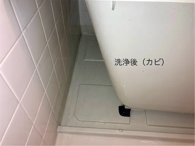 フタ、イス、オケ洗浄無料！　鏡ダイヤモンドパッド洗浄！！　店長がご訪問 ^_−☆サービスの画像