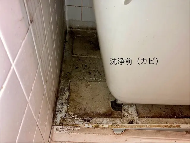 フタ、イス、オケ洗浄無料！　鏡ダイヤモンドパッド洗浄！！　店長がご訪問 ^_−☆サービスの画像