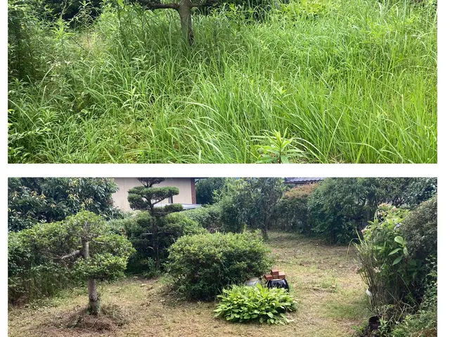 ムカデ、ヤスデの害虫の退治＆予防効果長持ち！！サービスの画像