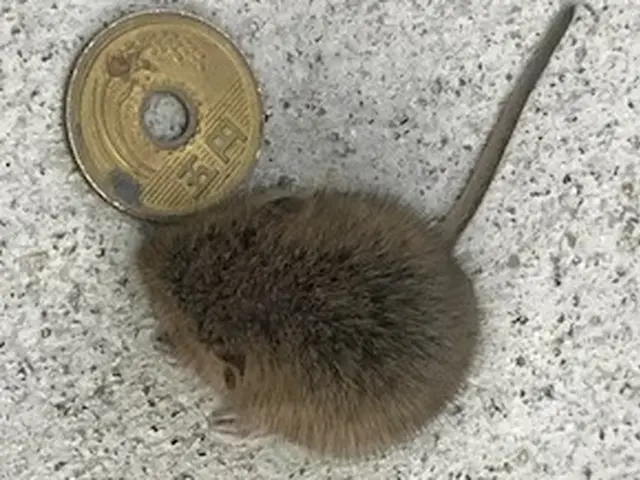 ☆小さなお子様やペットのいるご家庭にも安心、安全な施工☆見積無料☆相見積り歓迎☆サービスの画像