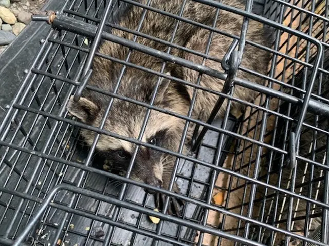 ☆小さなお子様やペットのいるご家庭にも安心、安全な施工☆見積無料☆相見積り歓迎☆サービスの画像