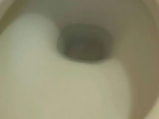 【女性スタッフ対応可能◎P代お店負担！】エコ洗剤可能でお子様・ペットも安心♪サービスの画像