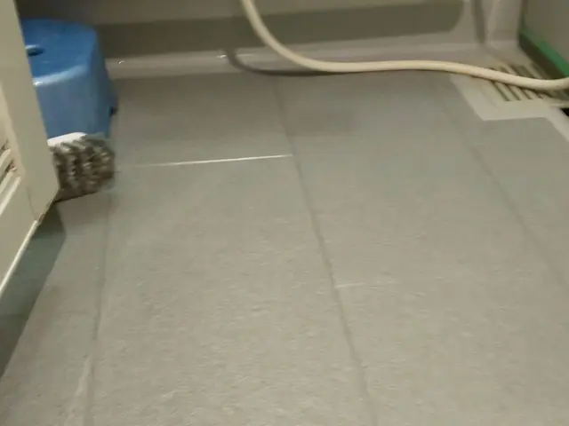 【女性スタッフ対応可能◎P代お店負担！】エコ洗剤可能でお子様・ペットも安心♪サービスの画像