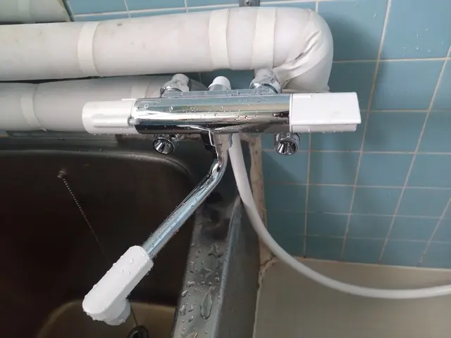 水栓蛇口交換/浴室サービスの画像