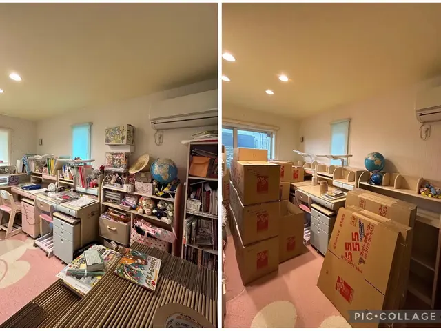 《2人体制》整理収納ADによる【引っ越しの断捨離、梱包＆開梱収納】【買い物同行】サービスの画像