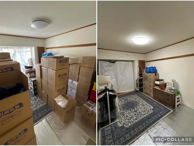 《2人体制》整理収納ADによる【引っ越しの断捨離、梱包＆開梱収納】【買い物同行】サービスの画像