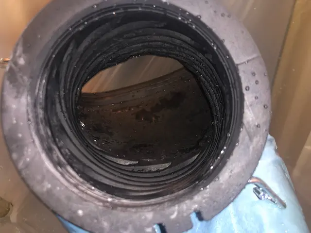 〈ドラム式洗濯機〉分解洗浄でホコリをゴッソリ徹底除去！サービスの画像
