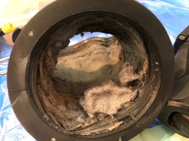 〈ドラム式洗濯機〉分解洗浄でホコリをゴッソリ徹底除去！サービスの画像