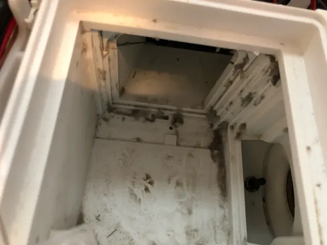 〈ドラム式洗濯機〉分解洗浄でホコリをゴッソリ徹底除去！サービスの画像