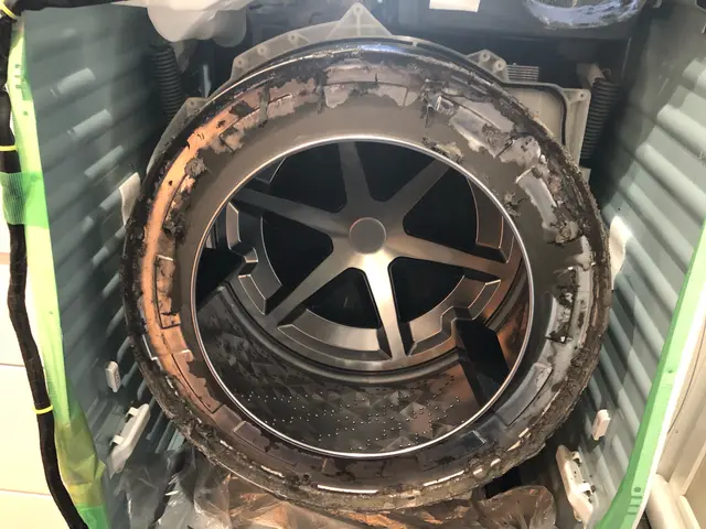 〈ドラム式洗濯機〉分解洗浄でホコリをゴッソリ徹底除去！サービスの画像