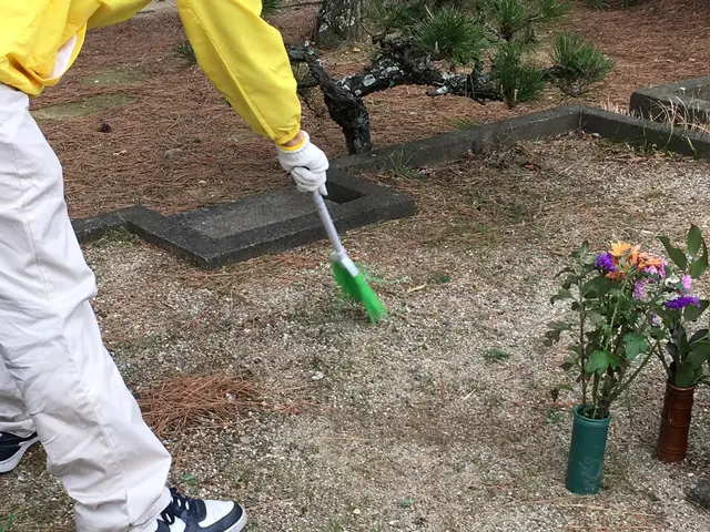 【お墓掃除のプロショップ　まごころ】大切なお墓私たちが真心込めて対応いたします！サービスの画像