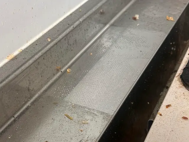 キッチンクリーニングサービスの画像