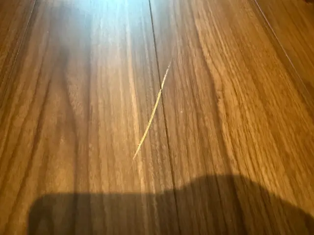 【女性スタッフ同行可能】店長が必ず訪問！事前確認で追加料金なしの安心作業サービスの画像