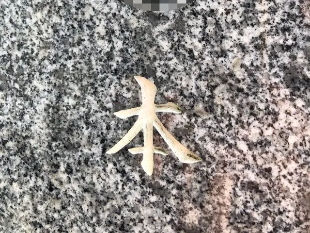 お花と駐車場代込。真心を込めてお墓参り、お掃除致します。雑草も綺麗に致します。サービスの画像