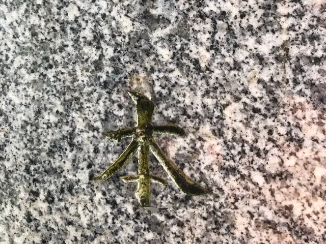 お花と駐車場代込。真心を込めてお墓参り、お掃除致します。雑草も綺麗に致します。サービスの画像