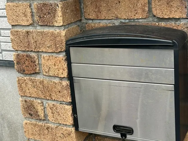 見た目スッキリ、住まいスッキリ。ツタのない安心をサービスの画像