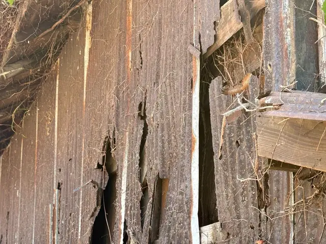 見た目スッキリ、住まいスッキリ。ツタのない安心をサービスの画像