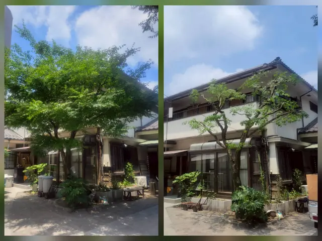 【越境枝・落ち葉問題を解決】事前の説明とご近所に配慮した丁寧な作業をお約束！サービスの画像