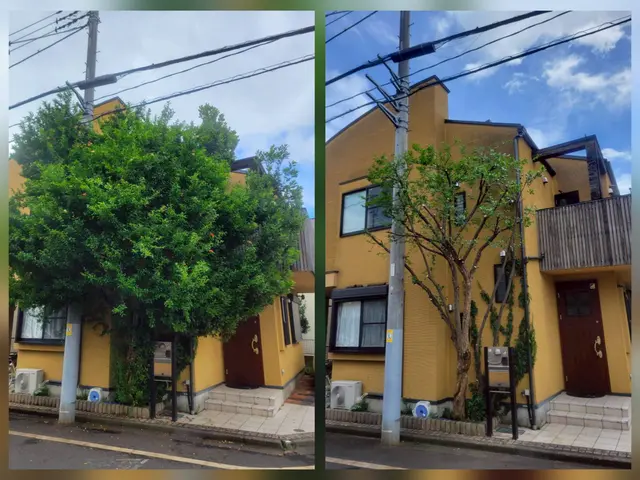 【越境枝・落ち葉問題を解決】事前の説明とご近所に配慮した丁寧な作業をお約束！サービスの画像