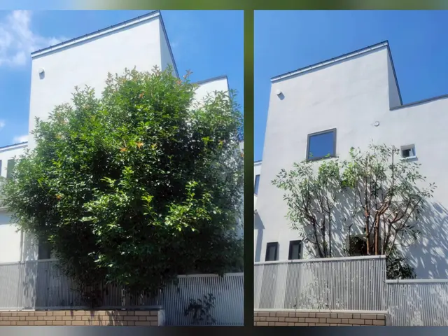 【越境枝・落ち葉問題を解決】事前の説明とご近所に配慮した丁寧な作業をお約束！サービスの画像