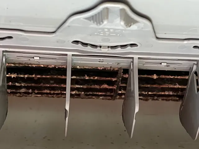 ハウスクリーニング士の資格を持つ女性スタッフ中心のエアコンクリーニングサービスの画像