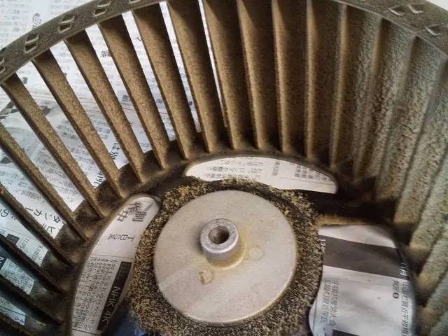 カビ防止コート無料3月まで！☆大変お得な¥40,000※注意事項をご確認くださいサービスの画像