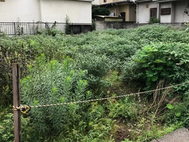 ＜年中無休＞東京都を中心に対応しております。ご要望・ご予算に合わせて丁寧に対応◎サービスの画像