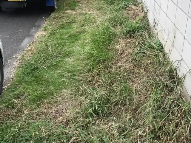 ＜年中無休＞東京都を中心に対応しております。ご要望・ご予算に合わせて丁寧に対応◎サービスの画像