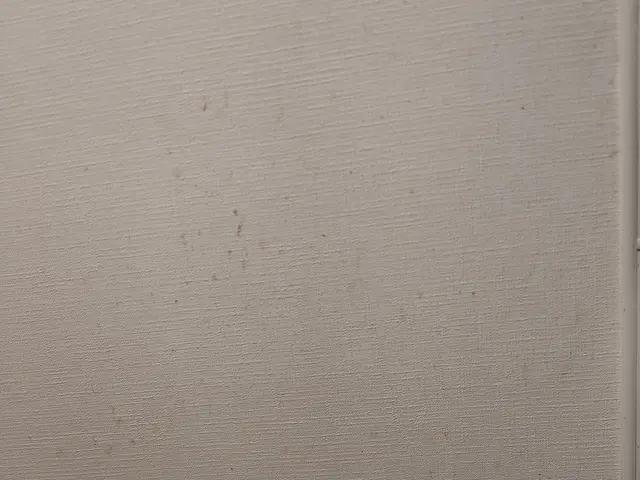 ◎年中無休◎プロの技術でご満足いただけるように心を込めて作業いたしますサービスの画像