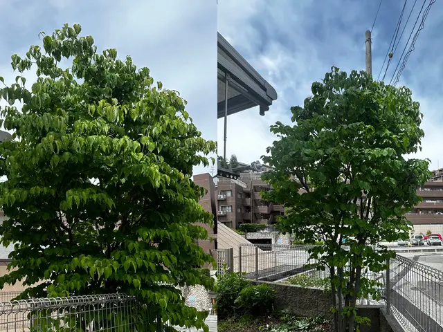 明瞭なお値段♪丁寧な対応♬お客様のご要望にお応えいたします！サービスの画像