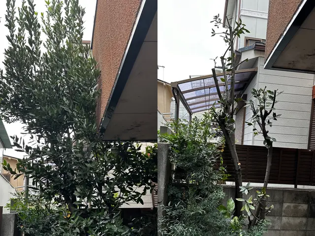 明瞭なお値段♪丁寧な対応♬お客様のご要望にお応えいたします！サービスの画像