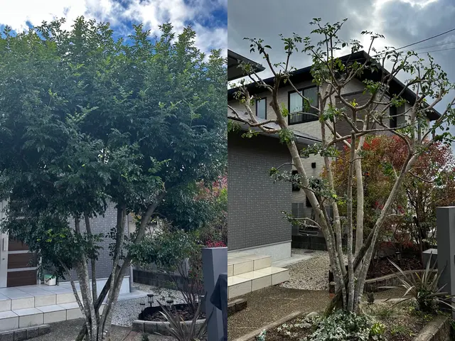 明瞭なお値段♪丁寧な対応♬お客様のご要望にお応えいたします！サービスの画像