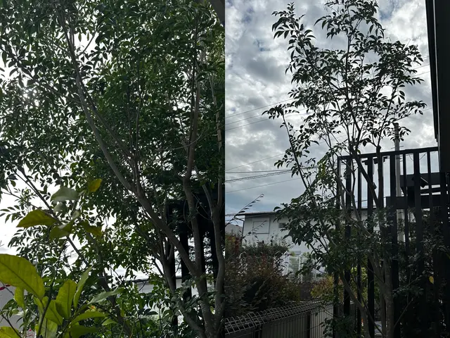 明瞭なお値段♪丁寧な対応♬お客様のご要望にお応えいたします！サービスの画像