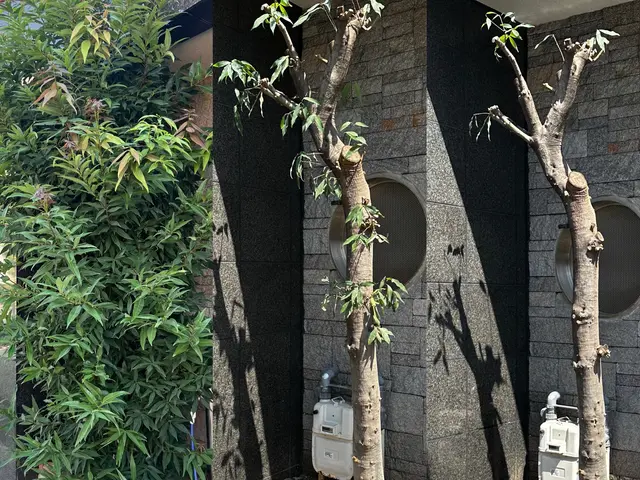 明瞭なお値段♪丁寧な対応♬お客様のご要望にお応えいたします！サービスの画像