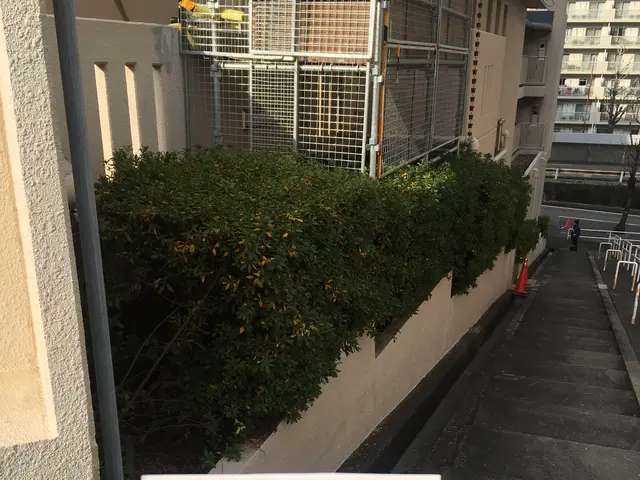 業歴19年以上★少量からでも大歓迎★緑や庭のことならお任せ下さい★一級造園技能士サービスの画像