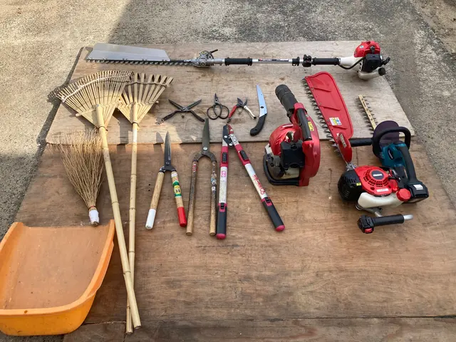 業歴19年以上★少量からでも大歓迎★緑や庭のことならお任せ下さい★一級造園技能士サービスの画像