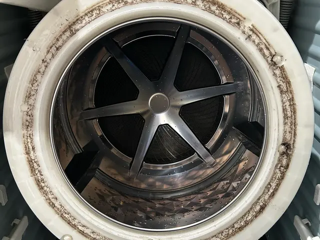 ドラム式洗濯機クリーニングサービスの画像