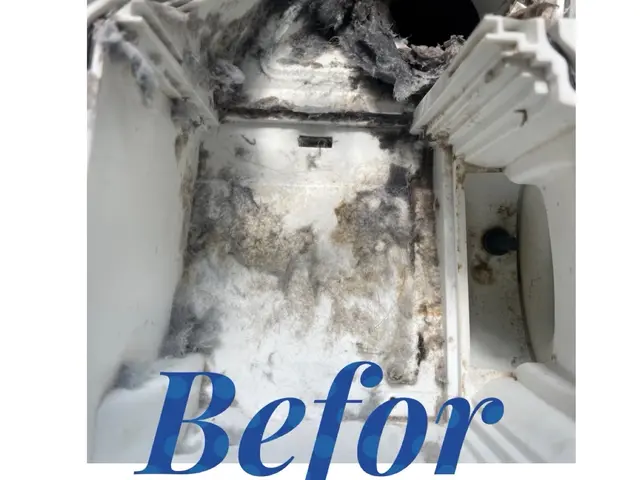 【パナ，シャープ，東芝，日立】掃除のプロにお任せ下さい。乾燥不良、ニオイ◎サービスの画像