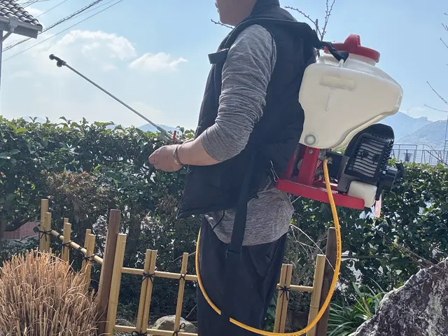 庭木の消毒薬散布サービスの画像