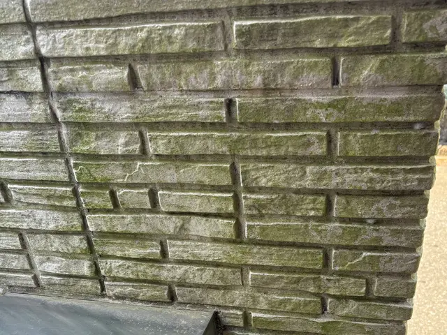 毎日使う場所だからこそ清潔に！玄関が明るく蘇るサービスの画像