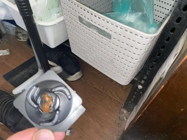 スピード返信★24H対応サービスの画像